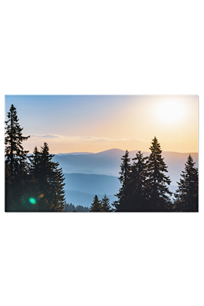 StoryGift Romania Tablou Canvas Siluete De Brazi In Valea Montana, Trasnet, Fundal, Lumina, Copac Molid, Mediu, D