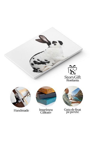 StoryGift Romania Tablou Canvas: Intelepciune In Ochi - Portret De Iepure
