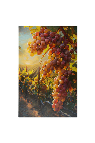 StoryGift Romania Tablou Canvas: Struguri Cadru Din Apropiere Și Cultură Viță-de-vie- Natură Și Fructe Pictura D