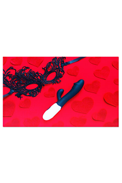 StoryGift Romania Tablou Canvas - Lenjerie Intima De Sarbatoare: Un Cadou Inc...