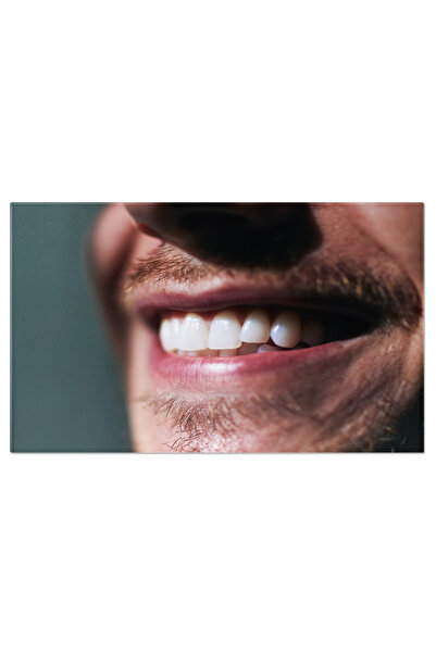 StoryGift Romania Tablou Canvas Zambet Sincer Al Tanarului, Fericire, Bucurie...