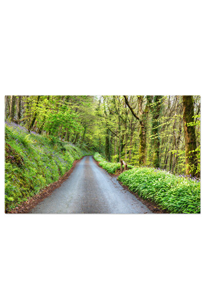 StoryGift Romania Tablou Canvas Drum De Tara In Cornwall Lane, Cornwall, Drum...