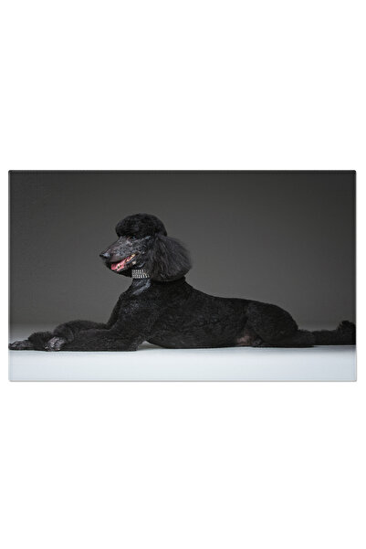 StoryGift Romania Tablou Canvas - Linii De Eleganta: Mireasa Cu Trandafir