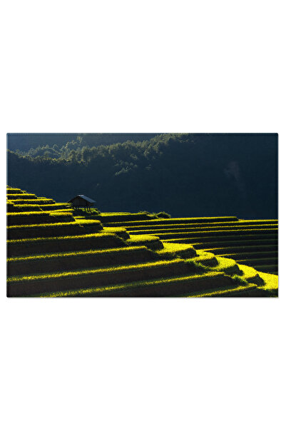 StoryGift Romania Tablou Canvas Textura Frunze Verzi Tropicale Si Ton Inchis ...