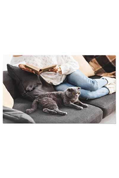 StoryGift Romania Tablou Canvas Fata Citind O Carte Cu Un Scottish Fold Adult...