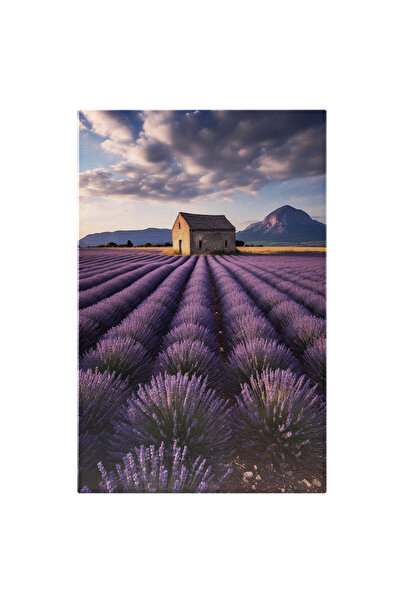 StoryGift Romania Tablou Canvas: Camp Plin Cu Lavanda - Hambar Munte In Depar...