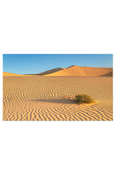 StoryGift Romania Tablou Canvas: Desertul Urmaresc - Clima Extrema