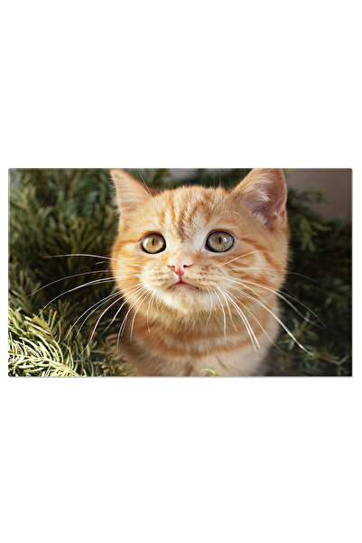 StoryGift Romania Tablou Canvas Pisica Ginger Draguta In Pomul De Craciun Cra...