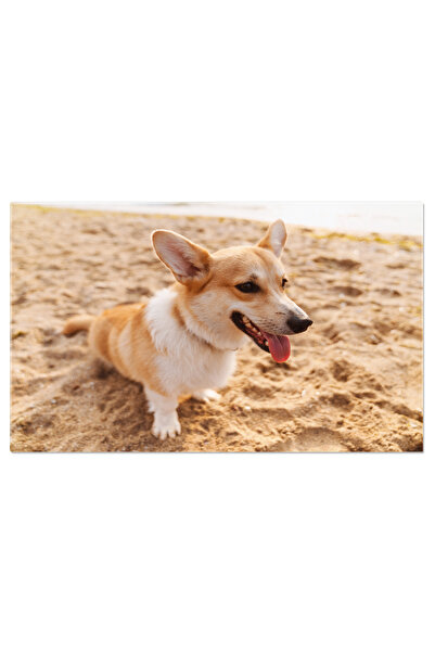 StoryGift Romania Tablou Canvas Panou Fotovoltaic Pentru Generarea Energiei S...