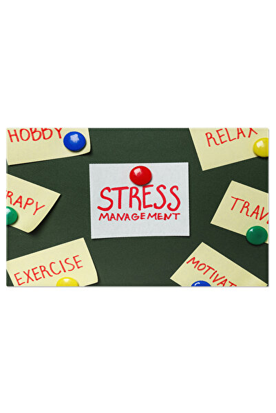 StoryGift Romania Tablou Canvas Cu Stres Emotional Si Tensiune - Gestionarea ...