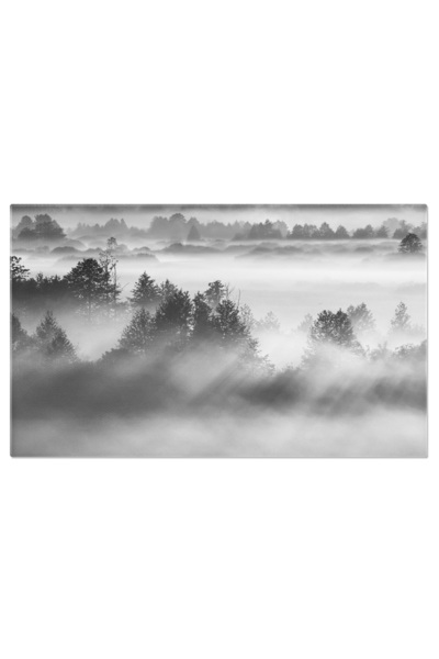 StoryGift Romania Tablou Canvas Ingrijirea Unghiilor, Manichiura Profesionala...