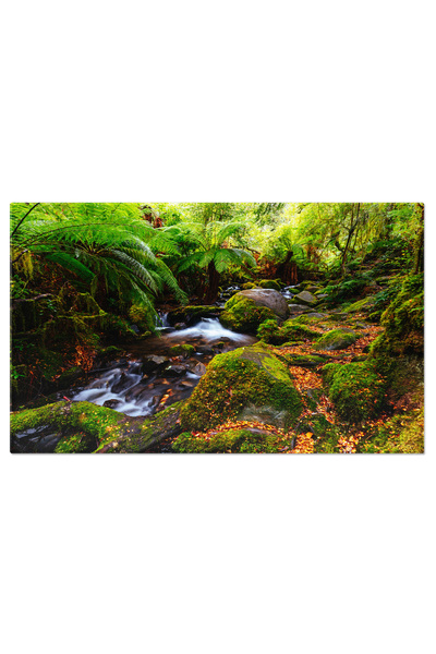 StoryGift Romania Tablou Canvas Padurea Warburton La Apus In Ziua Ploioasa, V...