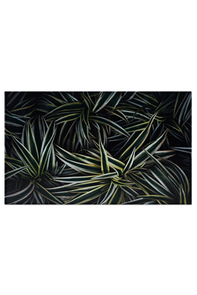 StoryGift Romania Tablou Canvas - Model De Design Inspirat De Natura Verde Si Frunze Intunecate