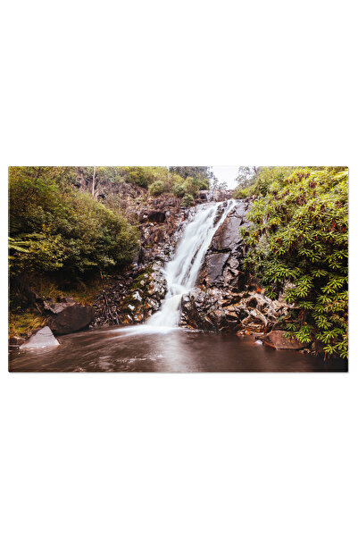 StoryGift Romania Tablou Canvas Cascadele Steavenson In Marysville, Australia...