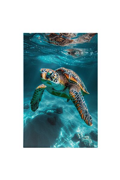 StoryGift Romania Tablou Canvas Țestoasa Liberă În Mare Carapacea Se Reflectă În Suprafața Luminată A Apei , Pict