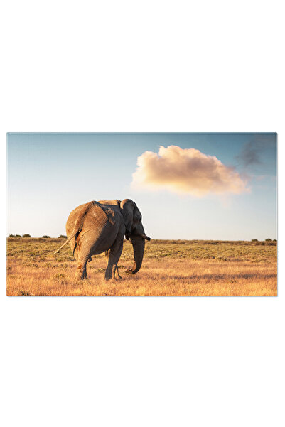 StoryGift Romania Tablou Canvas - Maestria Naturii: Elefant african in salbaticie - safari, Kenya, natura