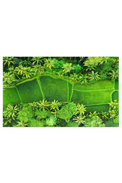 StoryGift Romania Tablou Canvas Terase De Oreze In Vara, Patrimoniu Mondial U...