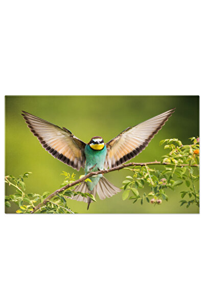 StoryGift Romania Tablou Canvas: Delicatee Colorata In Zborul European Bee-ea...