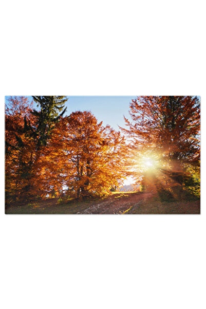 StoryGift Romania Tablou Canvas - Toamna In Parc, Culori Vii Si Frunze Aurii