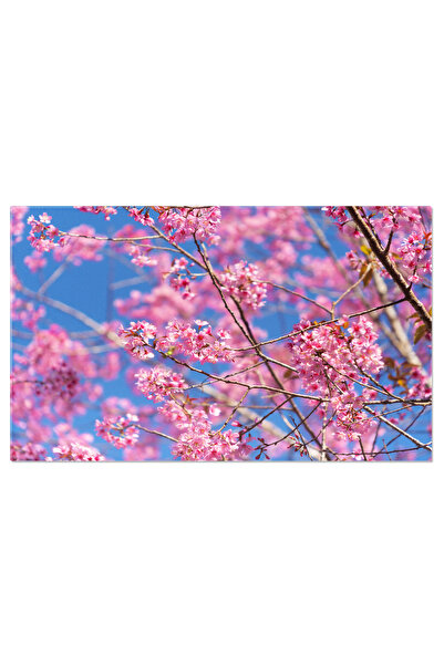 StoryGift Romania Tablou Canvas Insula Sakrisøya Pe Timp De Noapte, Arhipelag...