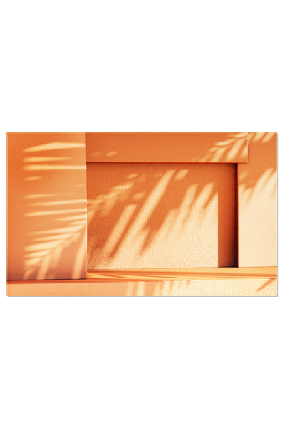 StoryGift Romania Tablou Canvas - Scena Minimalistica, Umbre Tropicale Si Design Estetic: Shadow, Aesthetic, Mini