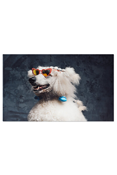 StoryGift Romania Tablou Canvas Cu Caniche Alb - Stil Eleganta Canina In Oche...