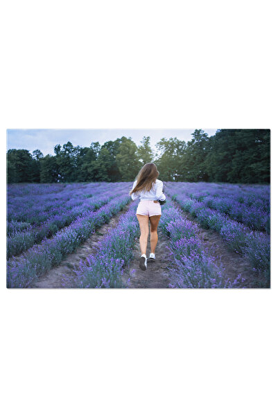 StoryGift Romania Tablou Canvas: Lavanda In Camp - Arome De Vara