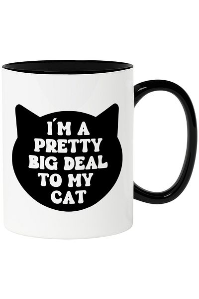 StoryGift Romania Mug for people who are important enough to their cats with Man, Cu,STG