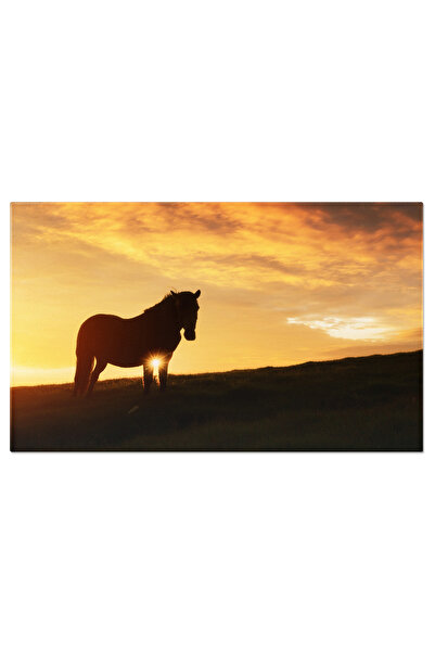 StoryGift Romania Tablou Canvas Peisaj Montan Idilic: Cai Si Munti - Canvas, ...