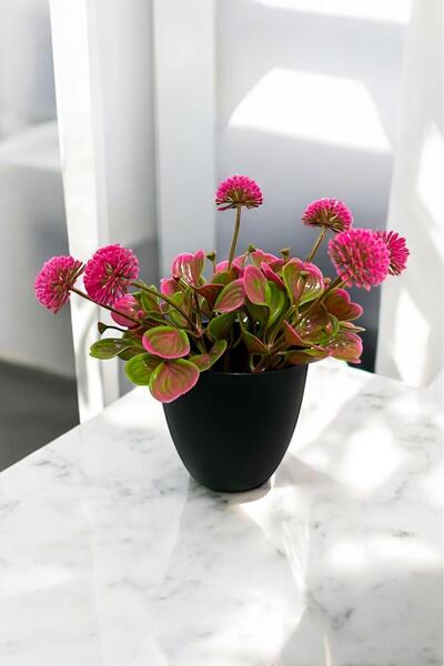 Akkoyunlu home Pembe Tomurcuk Çiçeği Yapay Çiçek Saksı