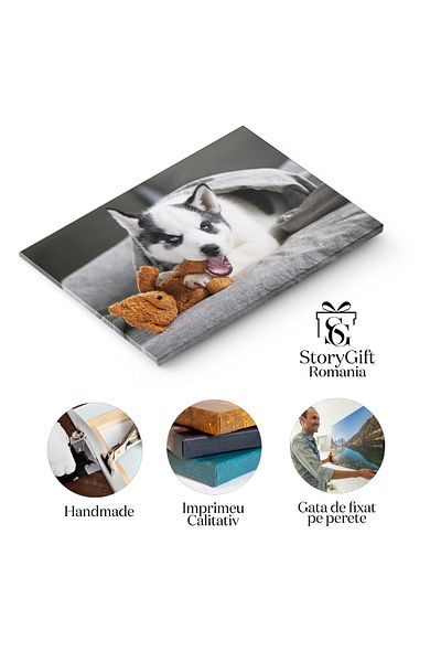 StoryGift Romania Tablou Canvas Caine Alb Mic, Rasa Husky Siberian, Husky, Caine, Siberian 97