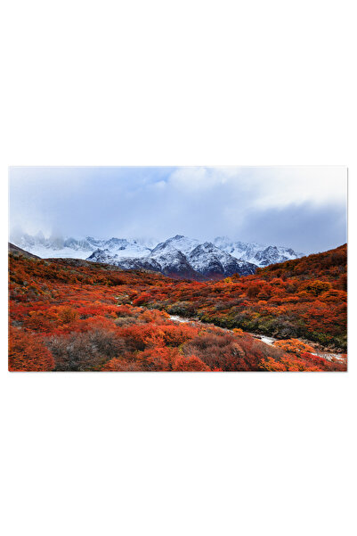 StoryGift Romania Tablou Canvas Padure Si Munti La Apus Peisaj, Natura, Padur...