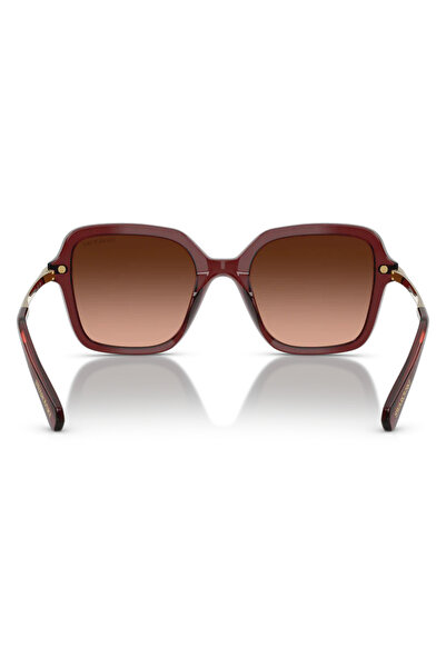 Swarovski Women's Sunglasses Swarovski SK6040 10735M 50, Plastic, Brown, 50 mm