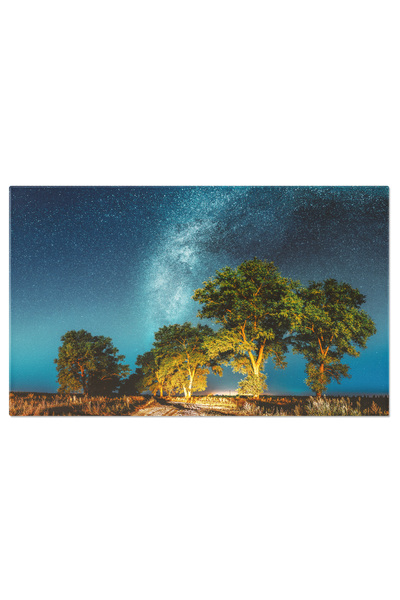 StoryGift Romania Tablou Canvas Calea Lactee Deasupra Copacului In Noaptea St...