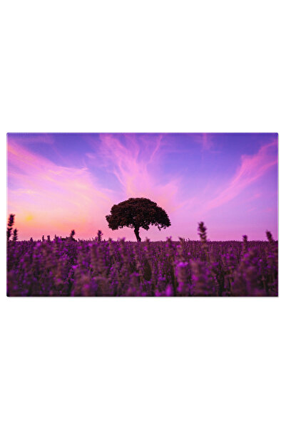 StoryGift Romania Tablou Canvas Lavanda La Apus, Lavanda, Camp, Apus, Violet,...