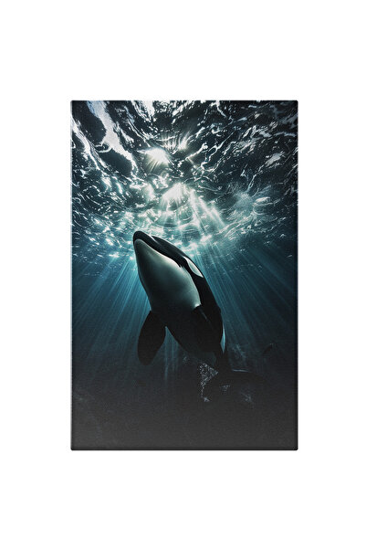 StoryGift Romania Tablou Canvas Balena Mica Alba Cu Negru Care Se Plimba Prin...