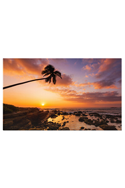 StoryGift Romania Tablou Canvas: Serenada Soarelui La Plaja Din Sri Lanka - O...