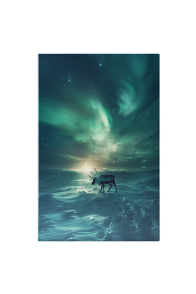StoryGift Romania Tablou Canvas: Cerbul Polar Apariție Unică Pe Urmele Altor Animale Sălbatice Din Aceste Zone Pi