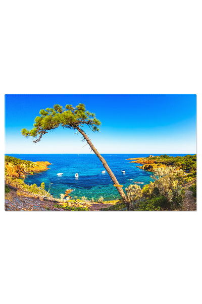 StoryGift Romania Tablou Canvas Esterel, Copac, Plaja, Coasta Si Marea Azura ...