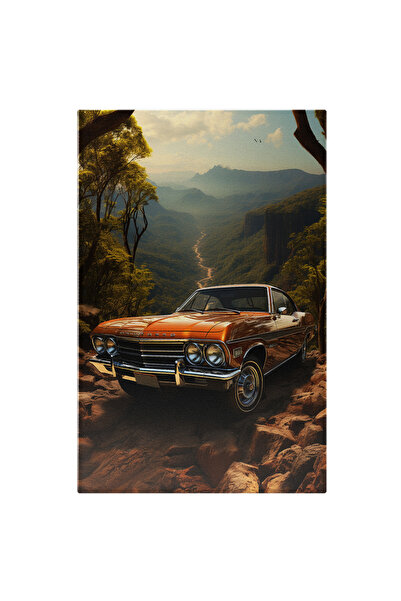 StoryGift Romania Tablou Canvas: Fotografie Cu O Masina Veche Pe Un Teren Acc...