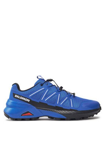 Salomon Men's Running Shoes L47602400 blue