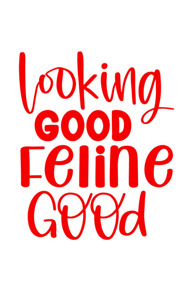 StoryGift Romania Sticker Autocolant 30CM Exterior cu textul "Aratand bine, simtindu-se bine" - feline pisici ,