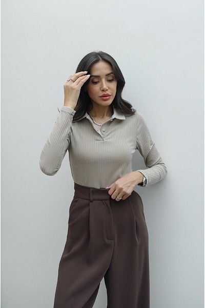 AlisaSu Beige Polo Neck Basic Ribbed Long Sleeve Badi