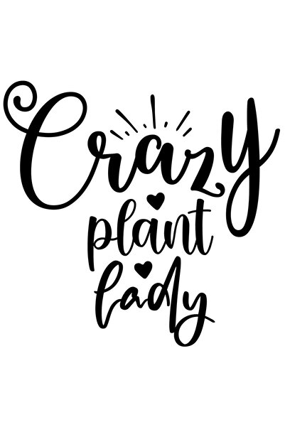 StoryGift Romania Sticker Autocolant 30CM Exterior cu inimioare si mesajul "C...