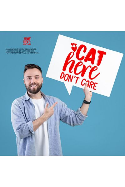 StoryGift Romania Sticker Exterior cu inimioare pentru iubitorii de pisici nepasatoare si mesaj in limba eng