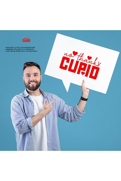 StoryGift Romania Sticker Label 50CM Exterior for those who don't want to fall in love - the text "No, thank you"
