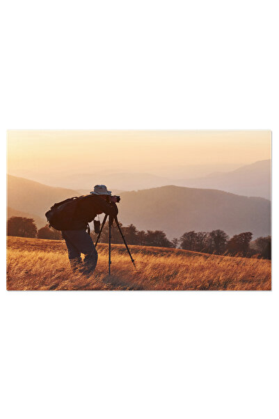 StoryGift Romania Tablou Canvas: Culori Aurii Ale Toamnei - Fotografie In Pei...