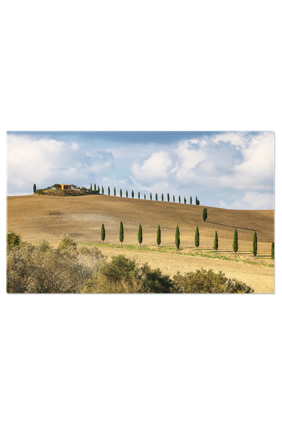 StoryGift Romania Tablou Canvas Ferma Tipica Italiana Cu Alee De Chiparos, Ca...