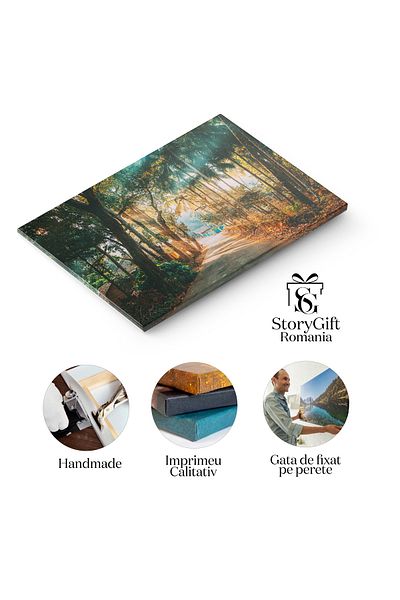 StoryGift Romania Tablou Canvas Goa, India Drum printr-un Sat Indian, Goa, India, drum, sat, calatorie 2165