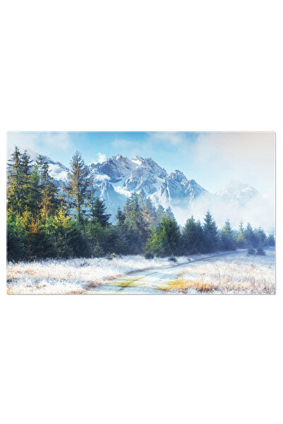 StoryGift Romania Tablou Canvas - Primele Zile De Iarna: Beauty, Frost, Morni...
